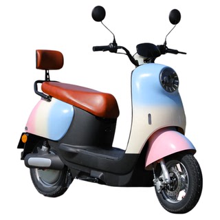2025新款电动车4860成家用代步女士小型可上牌小绵羊电瓶车 72V