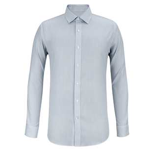 谢霆锋同款十如仕男衬衫牛津纺商务正装免烫长袖纯棉衬衣条纹301