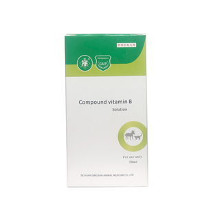 布维林口服液复合维B狗猫调节代谢养护皮肤修复神经宠物保肝护胆