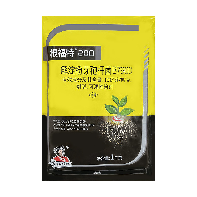根福特解淀粉芽孢杆菌黄瓜水稻黄萎病稻瘟病角斑病野火病杀菌剂