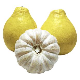 正宗容县沙田柚广西特产纯甜白心柚子新鲜水果非香柚梅州柚子包邮