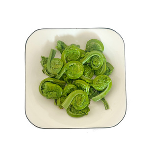 4斤黄瓜香袋装含水山野菜广东菜新鲜勾勾荚果蕨菜凉拌爆炒做馅