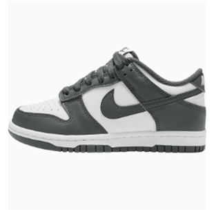 Nike Dunk LOW男女复古运动低帮板鞋 DV0833 IB2051