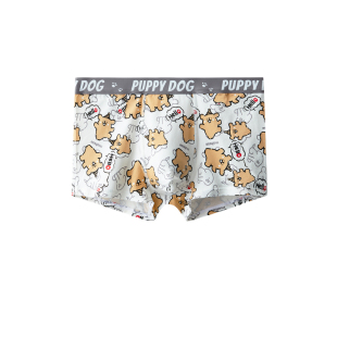 男童内裤儿童纯棉a类12岁初中生青少年发育期100全棉男孩四角短裤