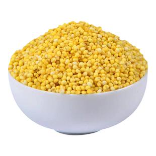 东北特产新货大黄米粘糯香黏米粘黄米500克1袋粽子米粘米5斤包邮