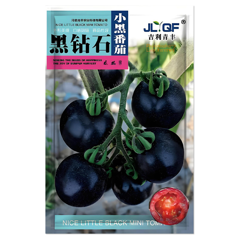 吉利青丰黑钻石小黑番茄种子