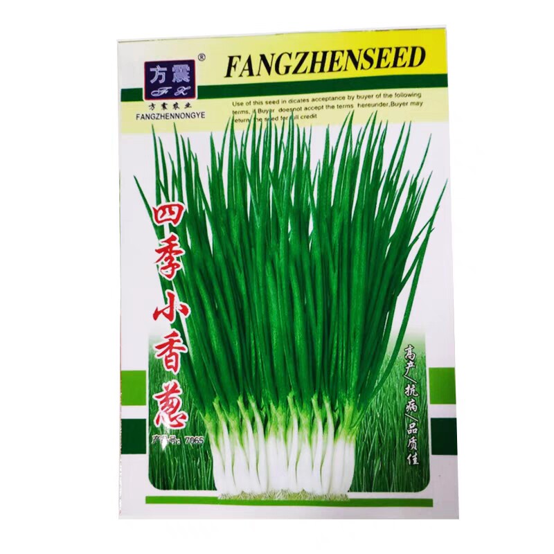 蔬菜种子菜种籽四季种孑西红柿草莓香菜番茄黄瓜辣椒西瓜盆栽阳台