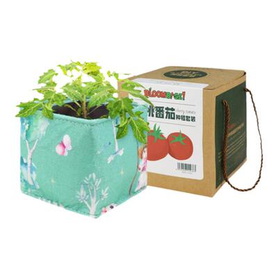 bloombagz从种子种起种植套装