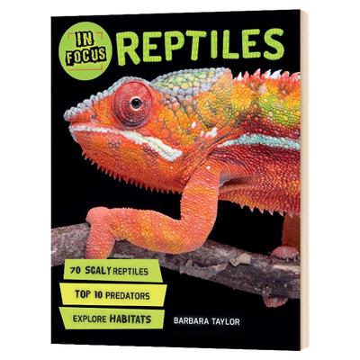 正版 In Focus: Reptiles聚焦：爬行动物 精装科普绘本