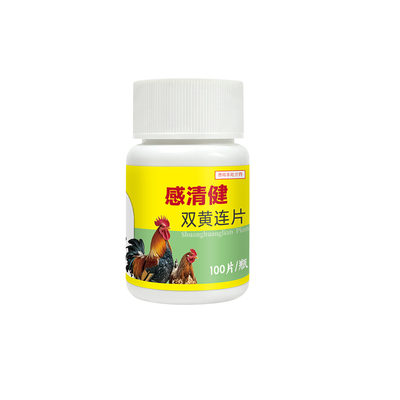 双黄连片感冒发烧鸡鸭鹅专用药猫