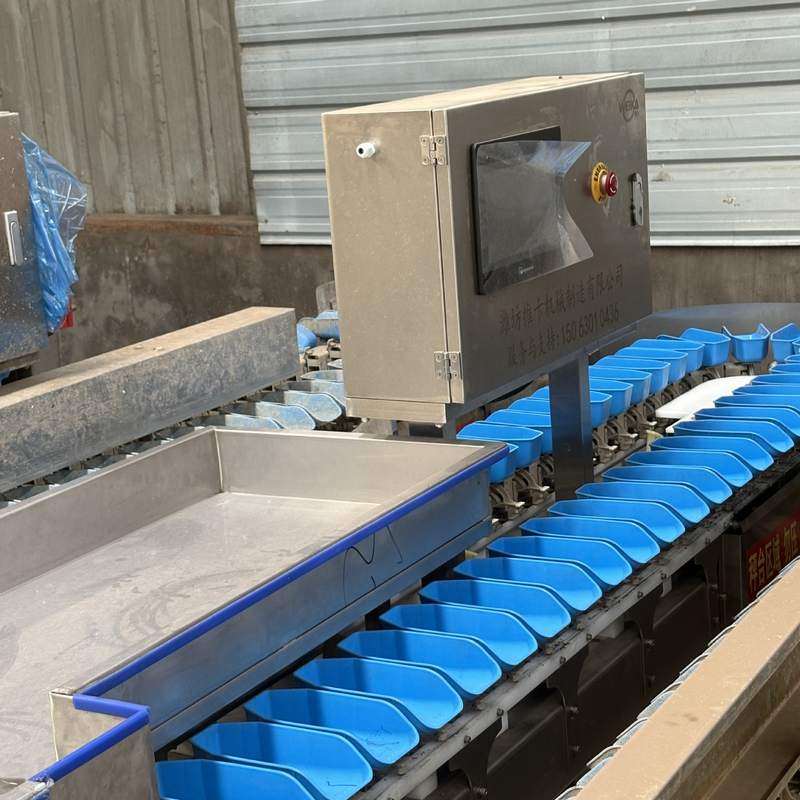 大闸蟹重量分选机 八爪鱼龙虾自动分级机 鸡翅料盒等级称重分拣机