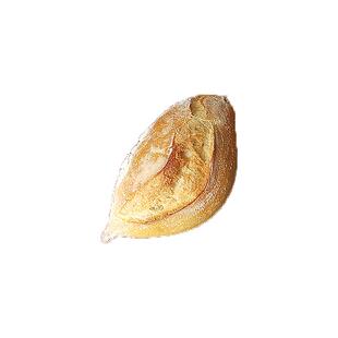 传统发酵法式小面包小餐包硬壳梭子硬欧包 French Breadroll