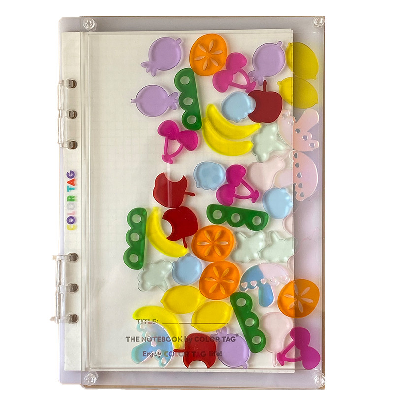 COLORTAG颜录恋恋笔记本手账卡册