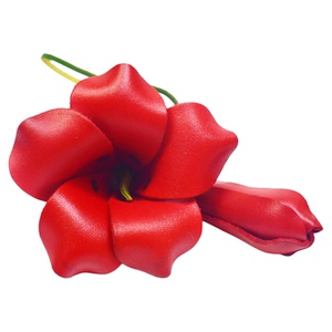 【木棉花开】头层牛皮花朵包挂件
