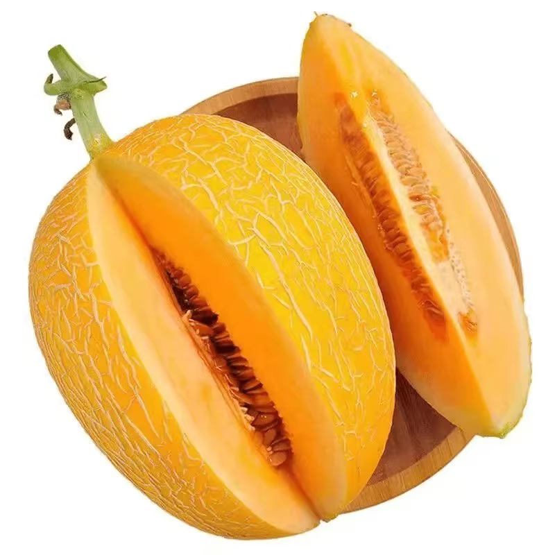 现摘现发9斤装黄金蜜瓜脆甜多汁1