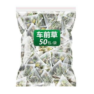 车前草野生新鲜中草药正品500g车钱草的功效与作用袋泡茶泡水喝粉
