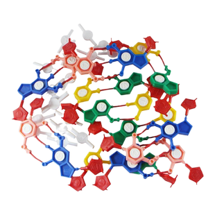 高中生物DNA双螺旋结构模型组件  染色体组件核苷酸 生物教学仪器实验器材3242