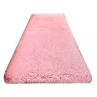 客厅家用丝毛小地毯卧室床边长方形沙发地垫可定制房间满铺大地毯