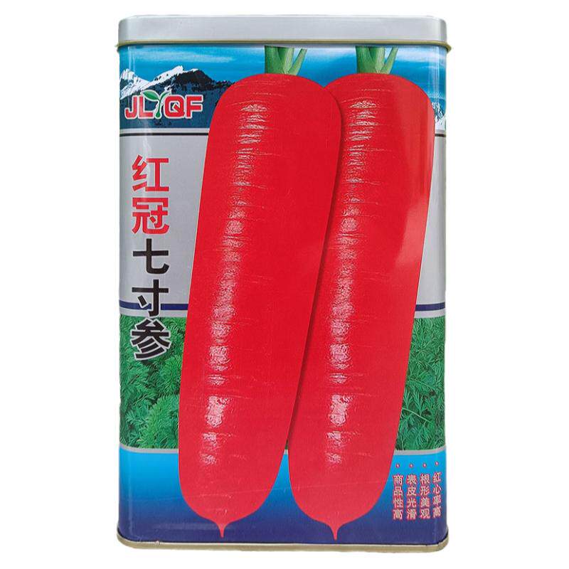 红冠七寸参300g胡萝卜种子孑红萝