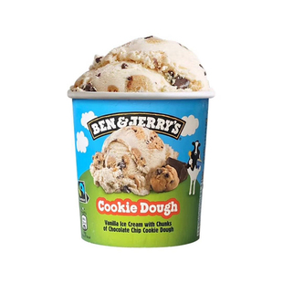 Ben&Jerry's本杰瑞冰淇淋巧克力布朗尼465ml原装进口大桶装冰淇凌