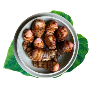 新鲜红芽芋建昌红香芋现挖香糯