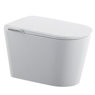 北京智能马桶包安装家用全自动无水压限制泡沫盾带水箱双水路设计