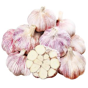 农家大蒜多瓣干大蒜头9斤蒜种籽当季新鲜蔬菜批发白皮紫皮独头蒜
