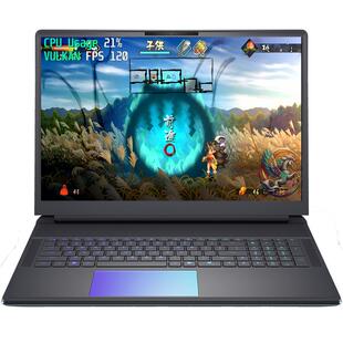 电脑手机玩胧村正中文大师合集全DLC高清纹理送金手指存档60帧