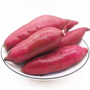 现挖沙地红蜜薯新鲜农家自种沙地黄心番薯糖心红薯超甜烤地瓜红苕