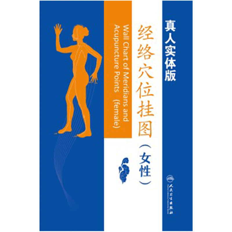 经络穴位挂图女性人卫社参考书