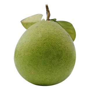 【顺丰可选】安福蚕子新鲜水果江西特产吉安金兰柚井冈蜜柚土柚子