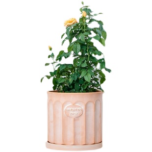 花园2012纪念款 外贸红陶盆月季盆陶土巴洛克罗马柱风格绣球花盆