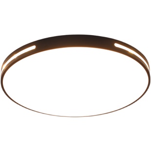 led吸顶灯北欧客厅灯具简约现代阳台房间灯中山卧室灯餐厅灯新款