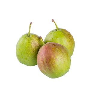 2025新香梨鲜嫩多汁皮薄无渣威梨现摘现发河北威县吉梨新鲜10斤装