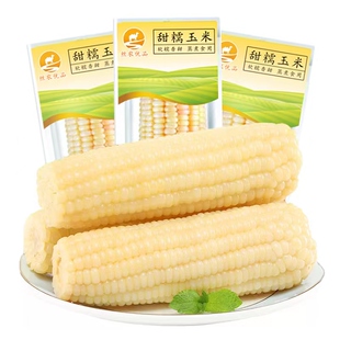 正宗白粘玉米软糯香甜独立包装真空锁鲜代餐轻食非东北黏苞米10棒