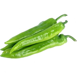 微辣大牛角椒种子辣椒种籽苗秧高产尖椒青椒特大蔬菜孑秧苗籽种