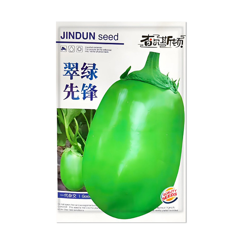 查尔斯顿翠绿先锋茄子种子