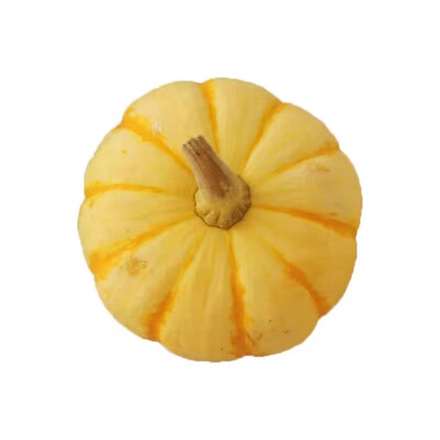 农家宝宝辅食新鲜桔瓜南瓜太阳果