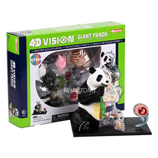 4D MASTER 动物解剖模型 家禽畜牧业大熊猫狗犬解剖猫咪牛马猪鸡