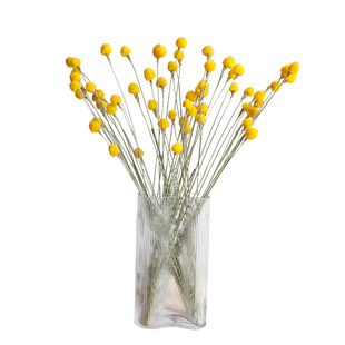 千日红永生花干花花束红色DIY材料粘花云南高级感真花装饰草莓花