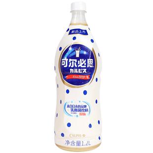 日本可尔必思浓缩液乳酸菌饮料奶茶店商用CALPIS饮品0脂整箱批发