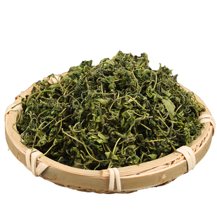 泰山酸枣芽茶特级酸枣叶茶嫩芽尖泰山直发25年新茶正品旗舰店