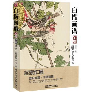 白描画谱全集中篇禽鸟走兽 中国画美术绘画勾线线稿临摹图谱写意画册本自学零基础描摹初学技法入门工笔画底稿教程书教学教材书籍