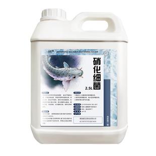 硝化细菌鱼缸用龙鱼硝化菌消化活菌em原液鱼池锦鲤专用净水除藻剂