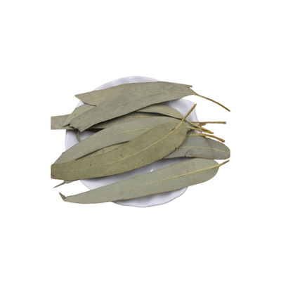 中药材桉树叶蓝绿500克特惠包邮