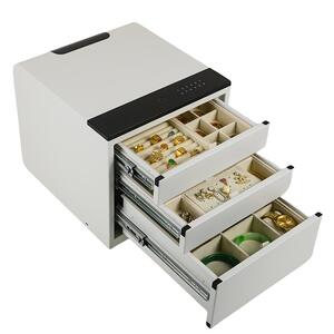 英蔓妮首饰盒保险箱指纹密码防盗