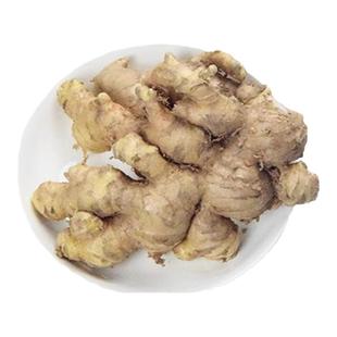 广东生姜黄玉姜新鲜粉姜肉老姜种月子猪脚姜甜醋特产高明无硫渣姜