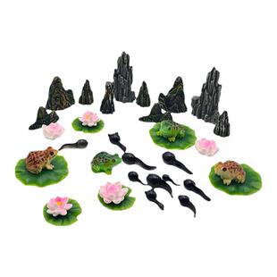 微景观摆件仿真动物青蛙模型蝌蚪找妈妈饰品 DIY鱼缸水族造景配件