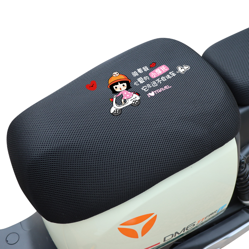 适用DM6DM2/DM6/DE8新国标电动车