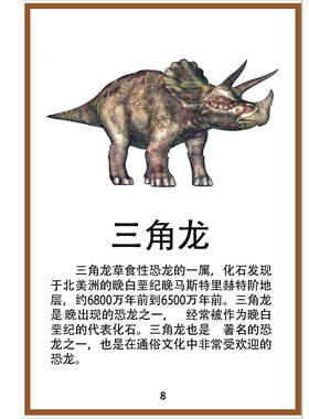 恐龙卡片认知卡幼儿童启蒙侏罗纪史前动物闪卡教具闪卡益智玩具